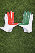 MIAMI HURRICANES